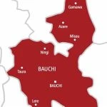 Woman arrested over co-wife’s death in Bauchi