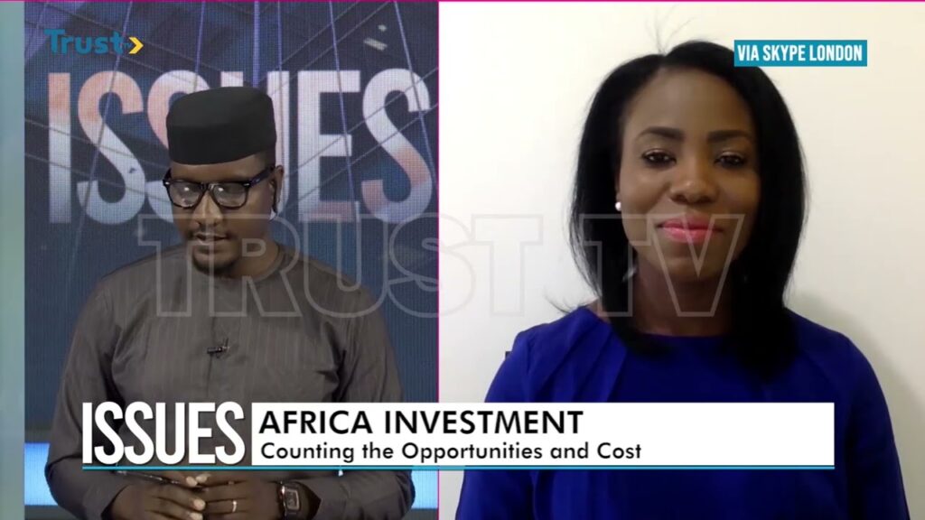 ISSUES: AFRICA INVESTMENT – Counting The Opportunities And Cost