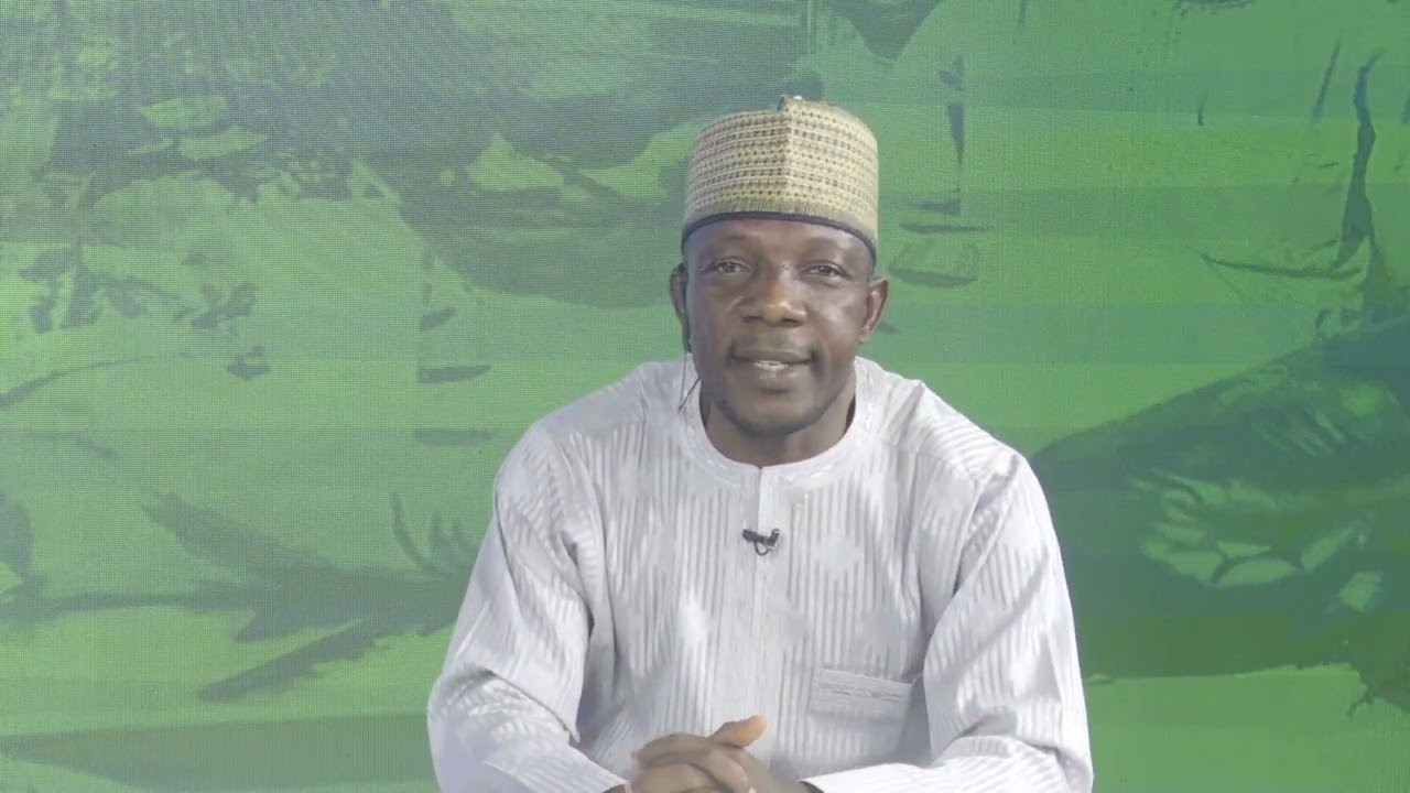 NEWS UPDATE @7PM