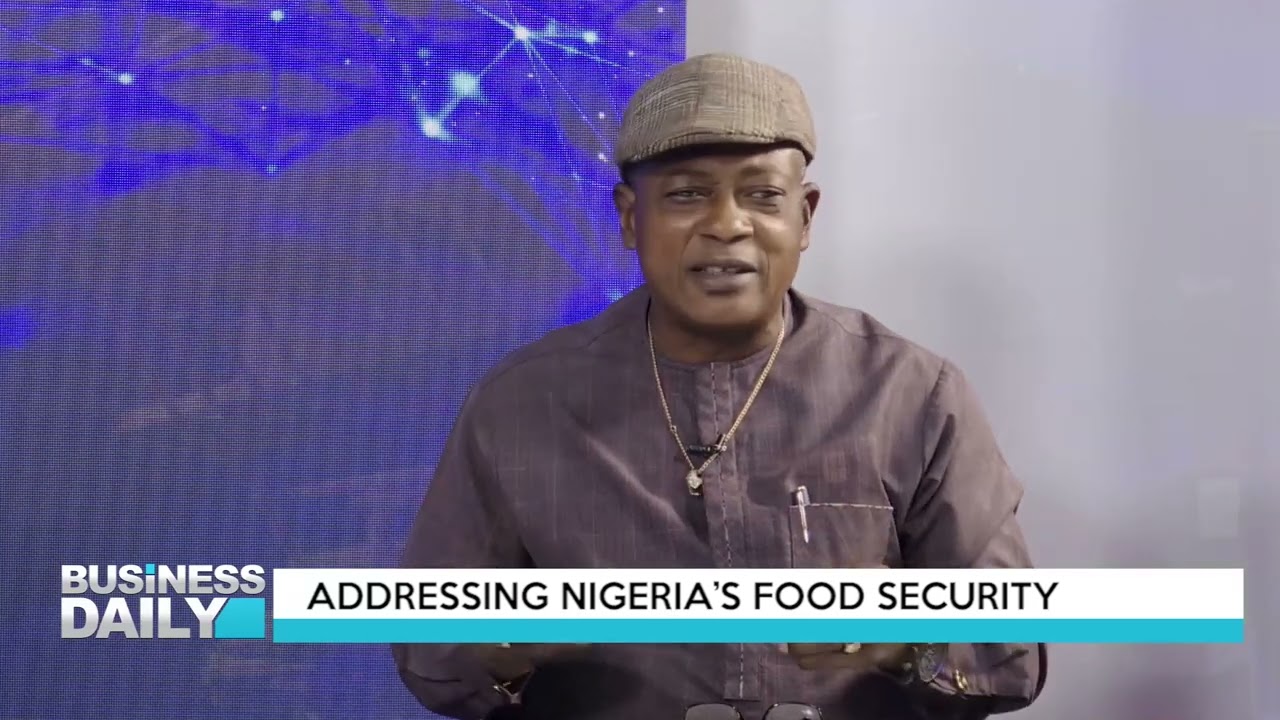 BUSINESS DAILY: Addressing Nigeria’s Food Security