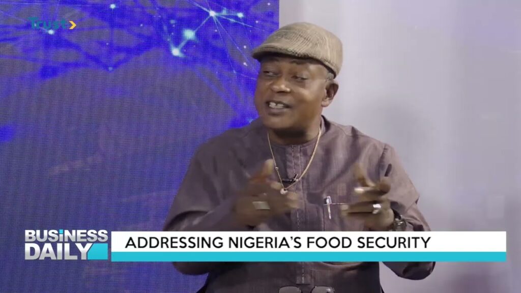 BUSINESS DAILY: Addressing Nigeria’s Food Security