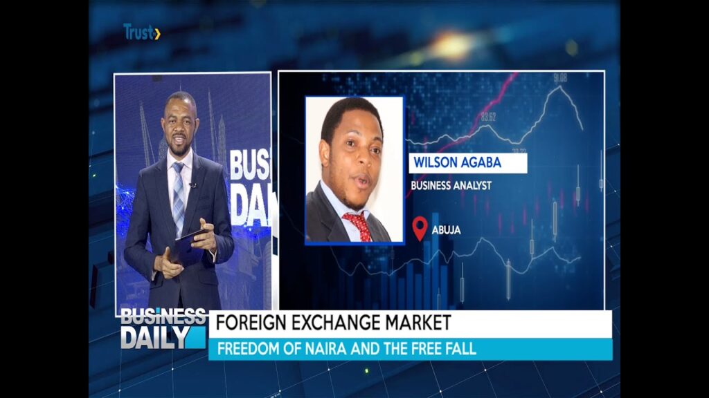 BUSINESS DAILY: FOREIGN EXCHANGE MARKET; Freedom Of Naira And The Free Fall