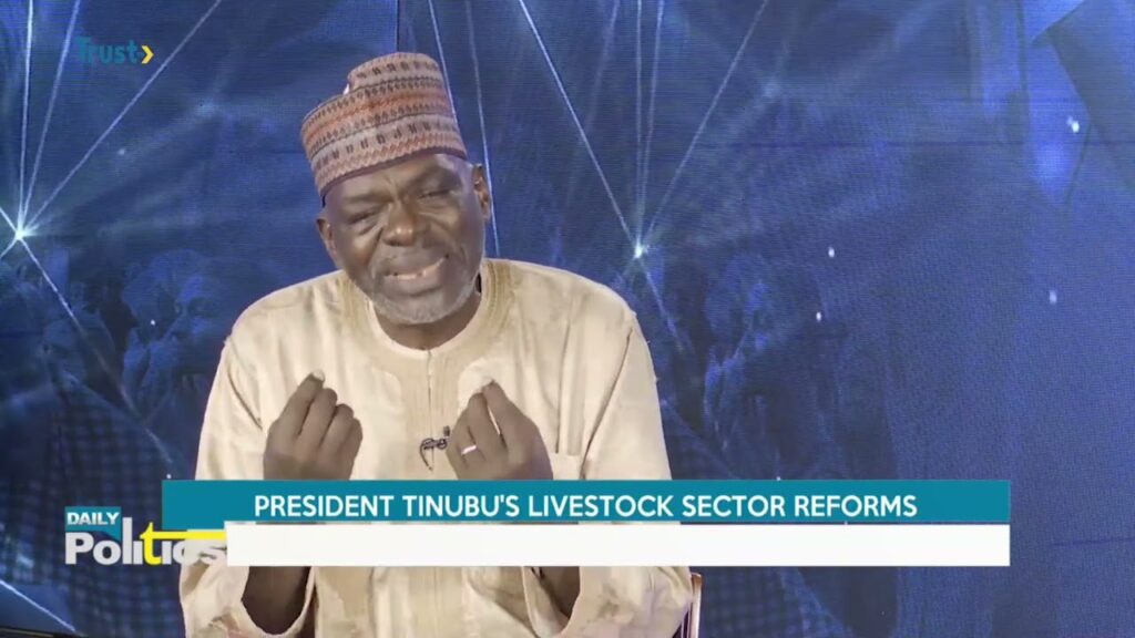 DAILY POLITICS: PRESIDENT TINUBU’S LIVESTOCK SECTOR REFORMS + MORE
