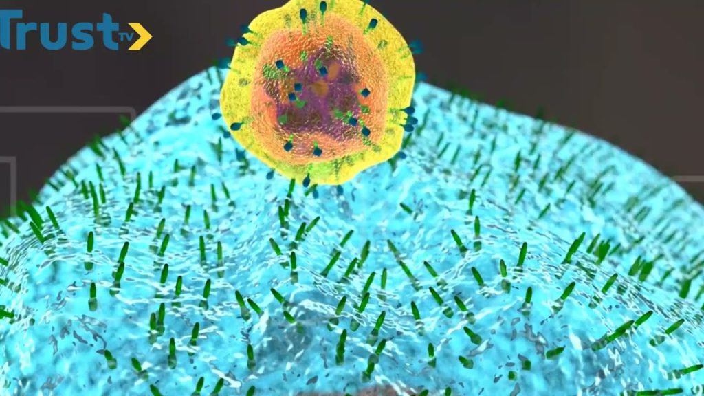 HEALTHY LIVING: Anti-microbial resistance and the way forward