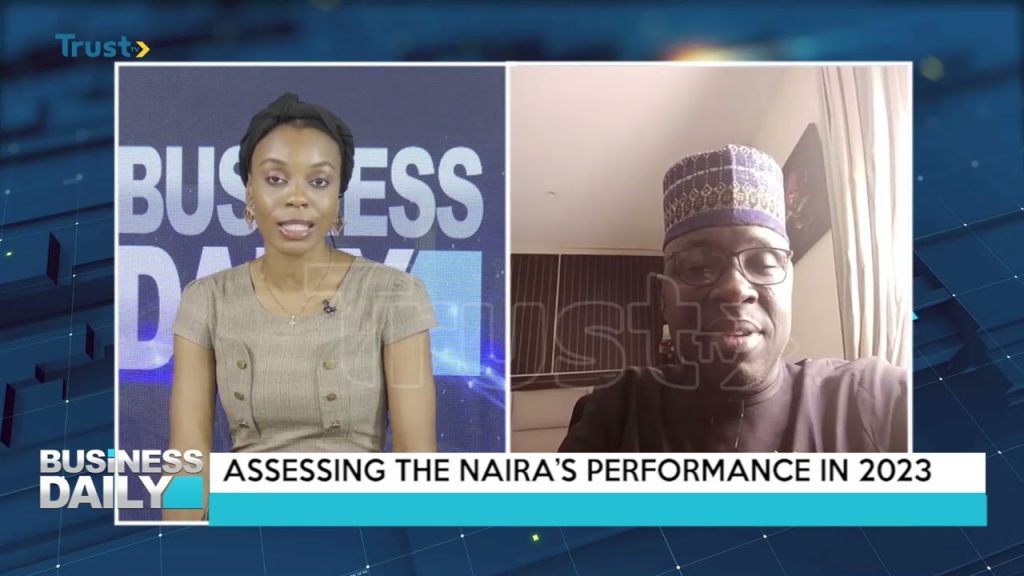 Business Daily: Assessing the Naira’s performance in 2023