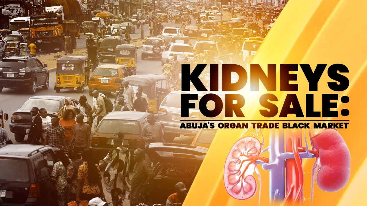 DOCUMENTARY: Kidney for Sale: Abuja’s Organ Trade Black Market