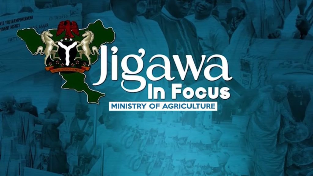 States & LGAs are to be held accountable, not only FG – Shehu Sani