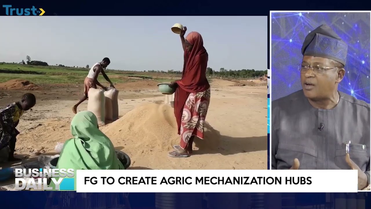 Receiving grains from Ukraine is an insult to Nigeria – Ogbo