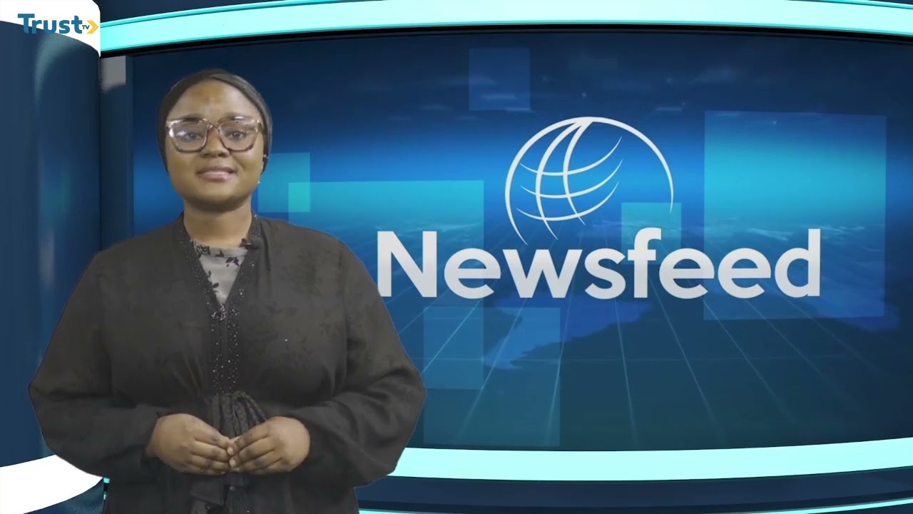 News Feed 