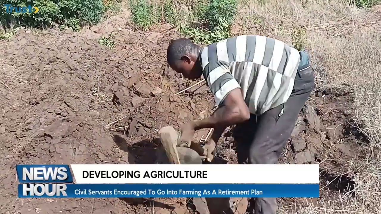 Civil servants encouraged to go into farming as a retirement plan