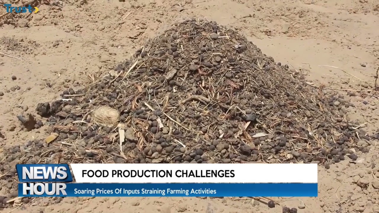 Food Production Challenges: Soaring prices of inputs straining farming activities