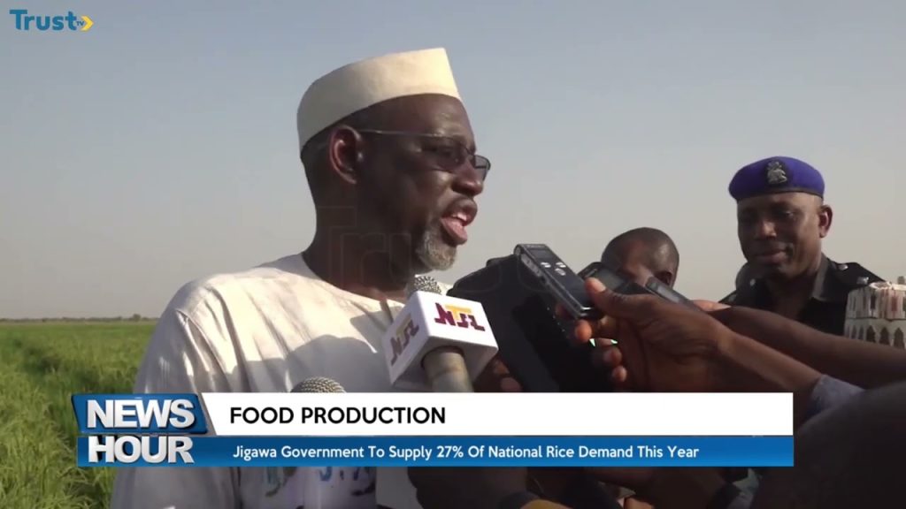 Food Production: Jigawa government to supply 27% of national rice demand this year