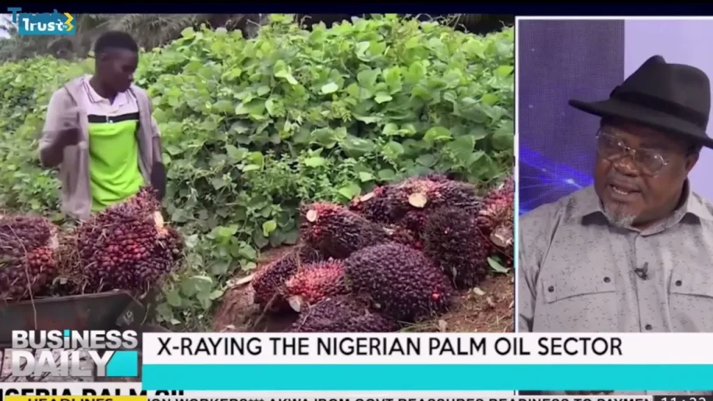  X-raying the Nigerian palm oil sector