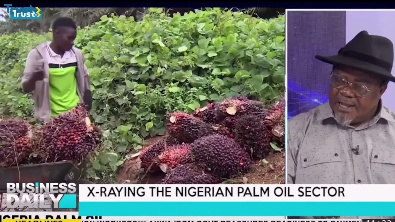  X-raying the Nigerian palm oil sector
