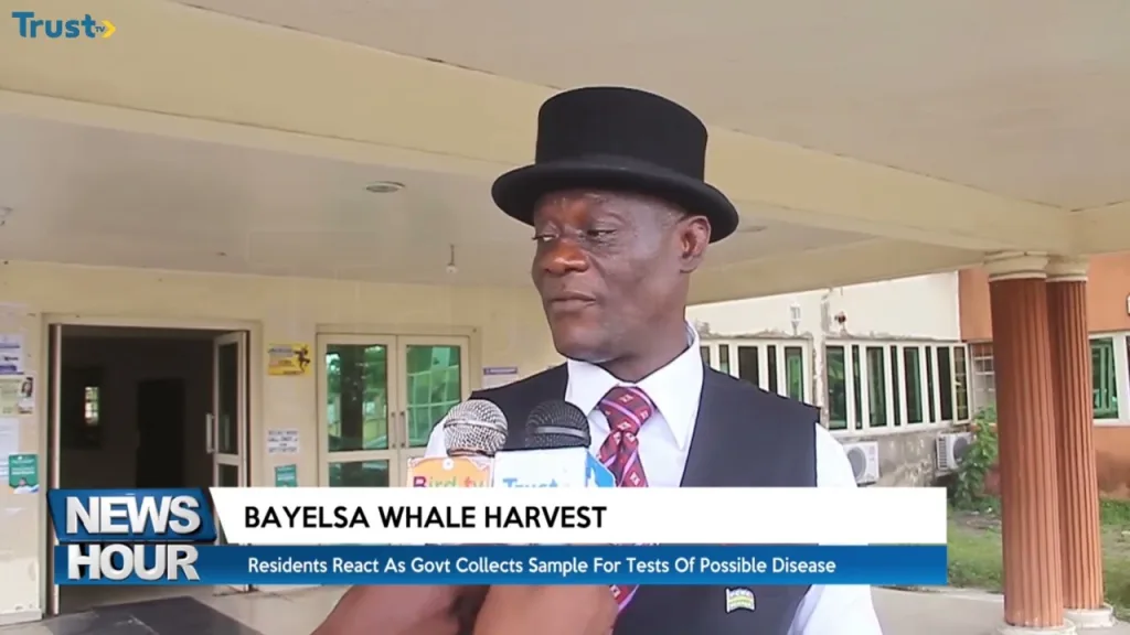Bayelsa Whale Harvest: Residents react as govt collects sample for tests of possible disease