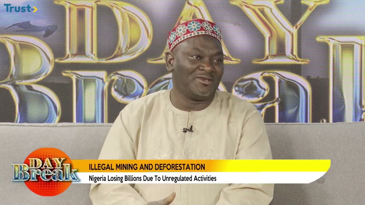 Illegal Mining and Deforestation: Nigeria is losing billions due to unregulated activities