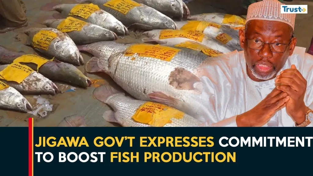 Government expresses commitment to boost fish production for economic sustainability