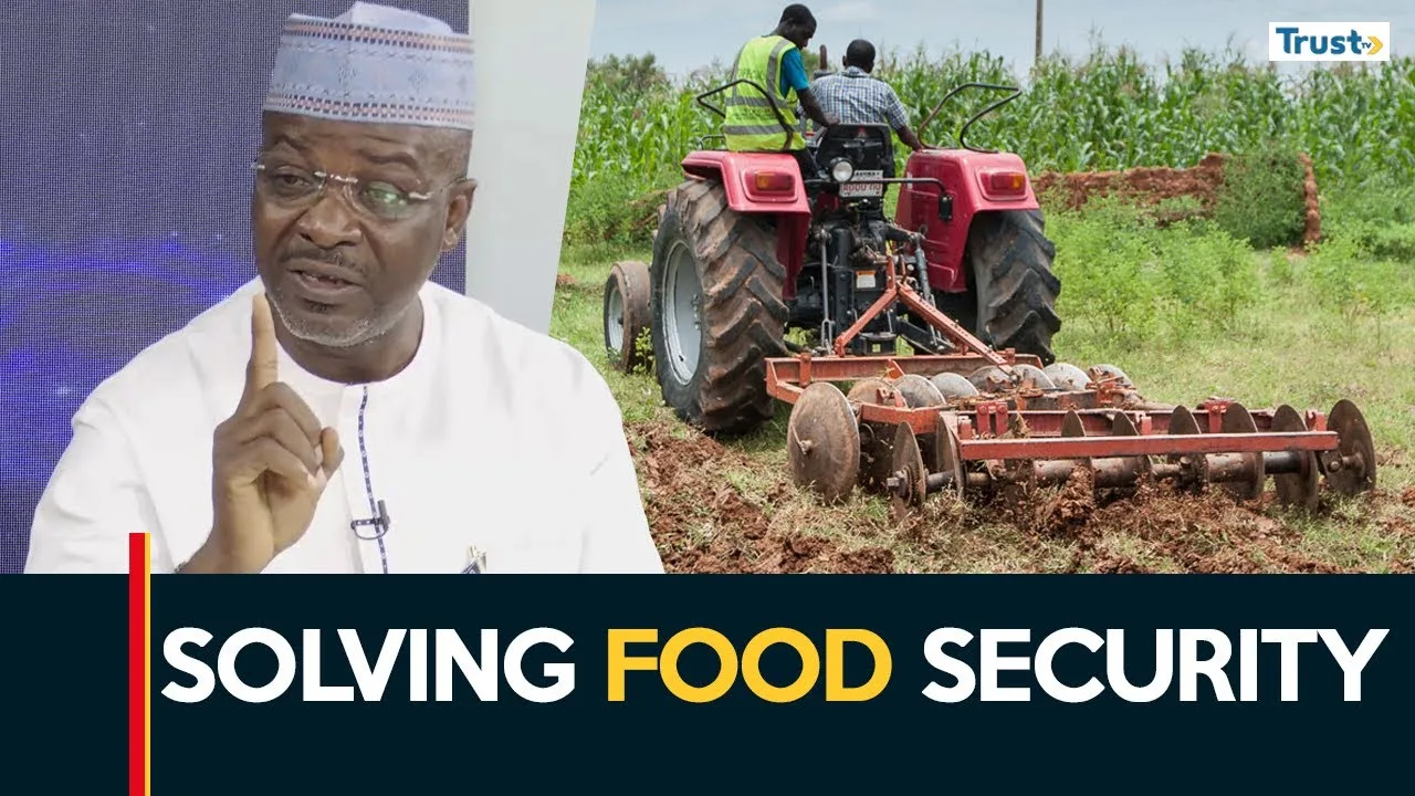 Solving Nigeria’s food security challenges
