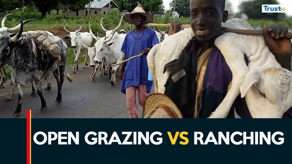 Open grazing vs ranching