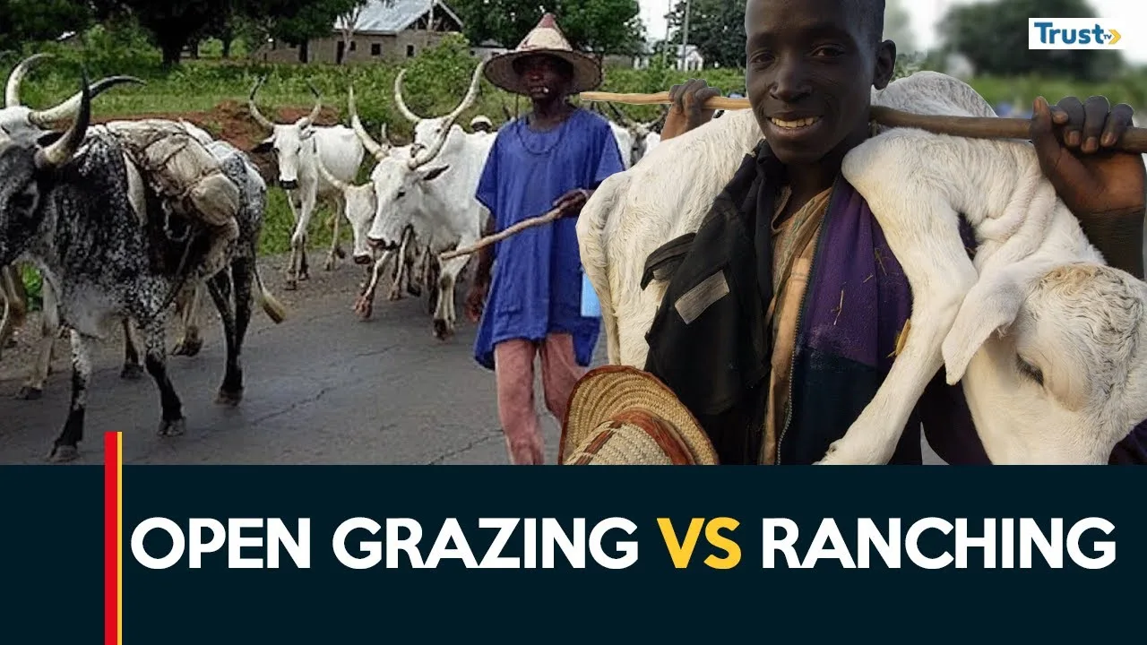 Open grazing vs ranching