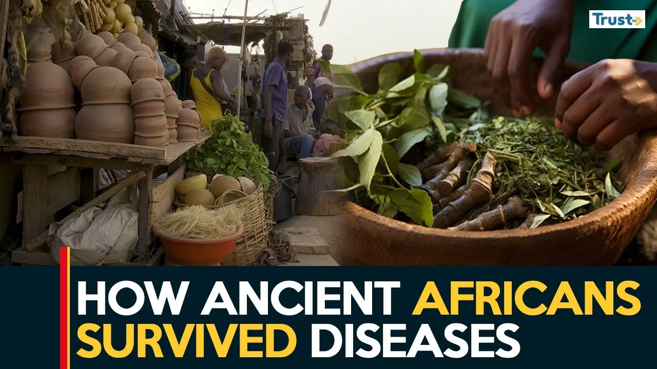 How ancient Africans survived diseases