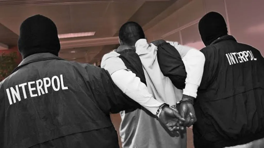 Thousands of Dollars are Laundered Out of Nigeria Every Hour – INTERPOL.