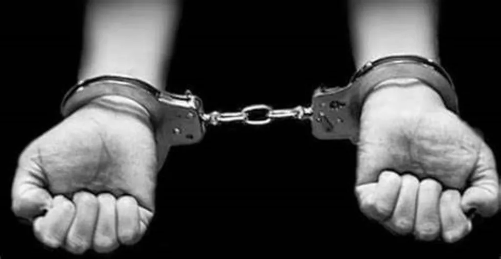 2 Suspected Female Suicide Bombers Arrested in Borno.