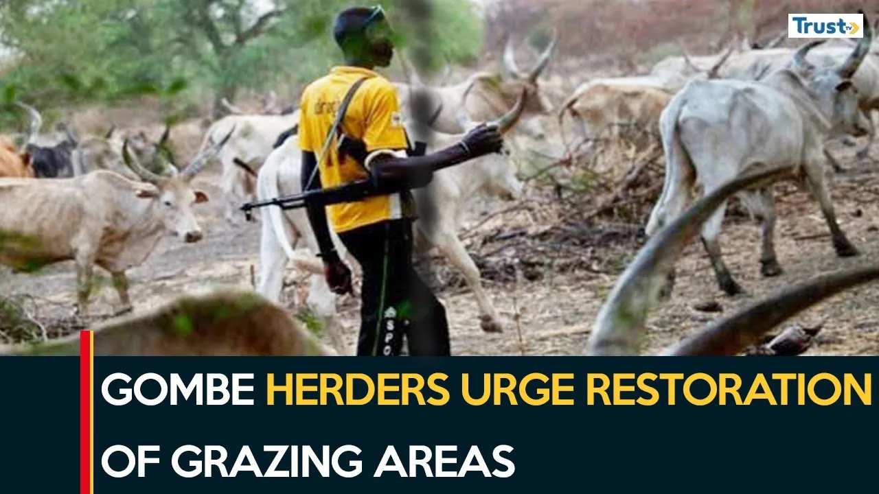 Gombe herders urge restoration of grazing areas