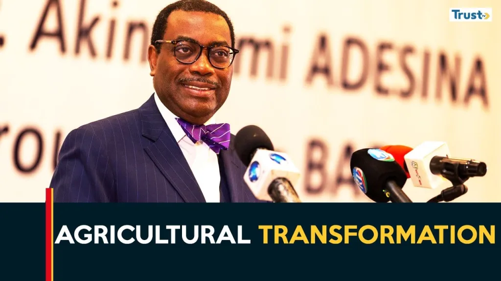 AFDB President Adesina calls for agricultural transformation