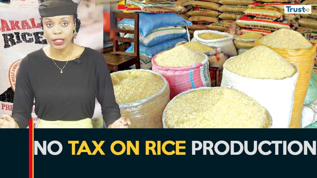 Food Security: FG suspends taxes on rice and other staples