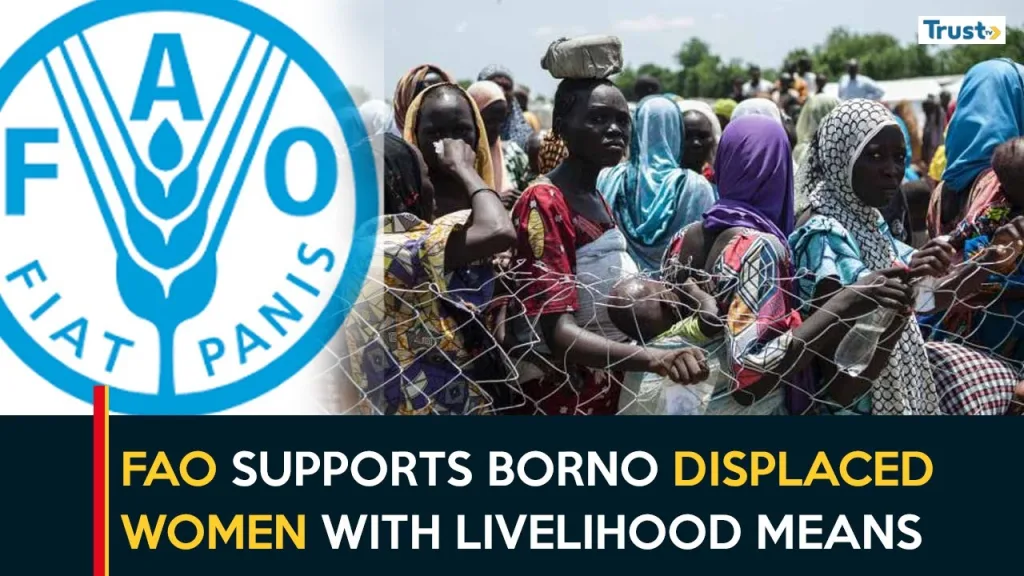FAO supports Borno-displaced women with livelihood means