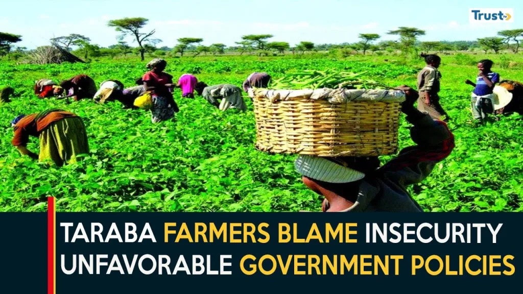 Cost Of Production: Taraba farmers blame insecurity on unfavourable government policies