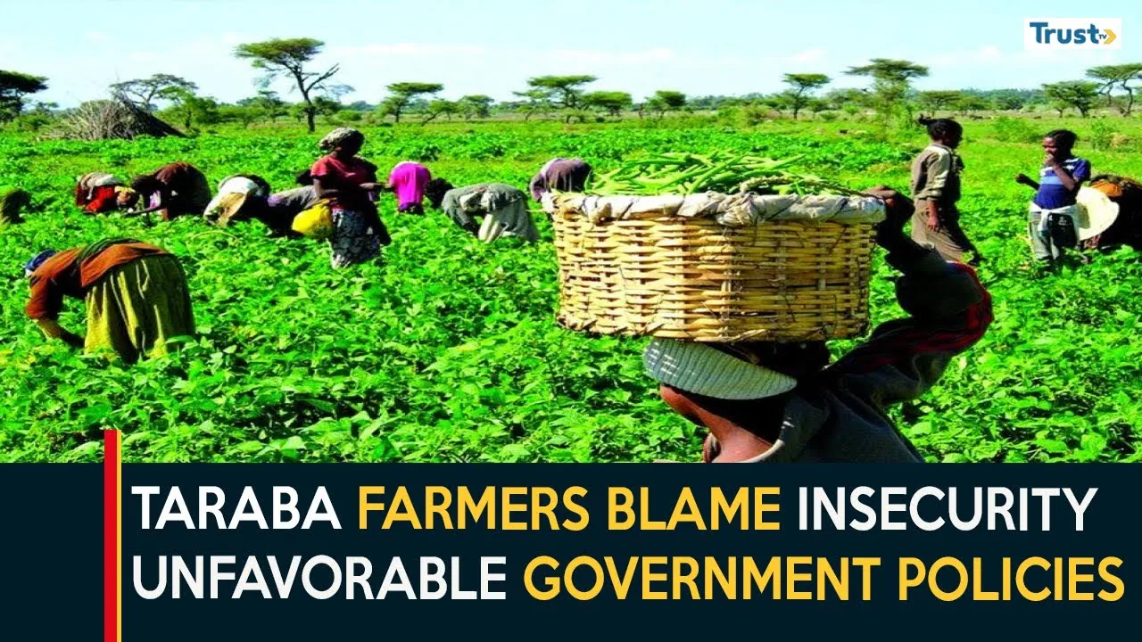 Cost Of Production: Taraba farmers blame insecurity on unfavourable government policies