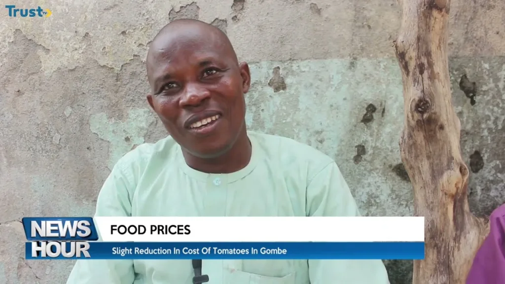 Slight reduction in the cost of tomatoes in Gombe