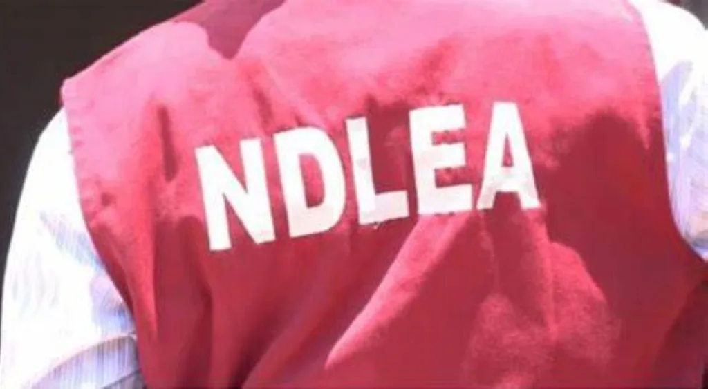 NDLEA Accuses Kwara Senator of Drug Dealing After Senator Criticized the Agency.