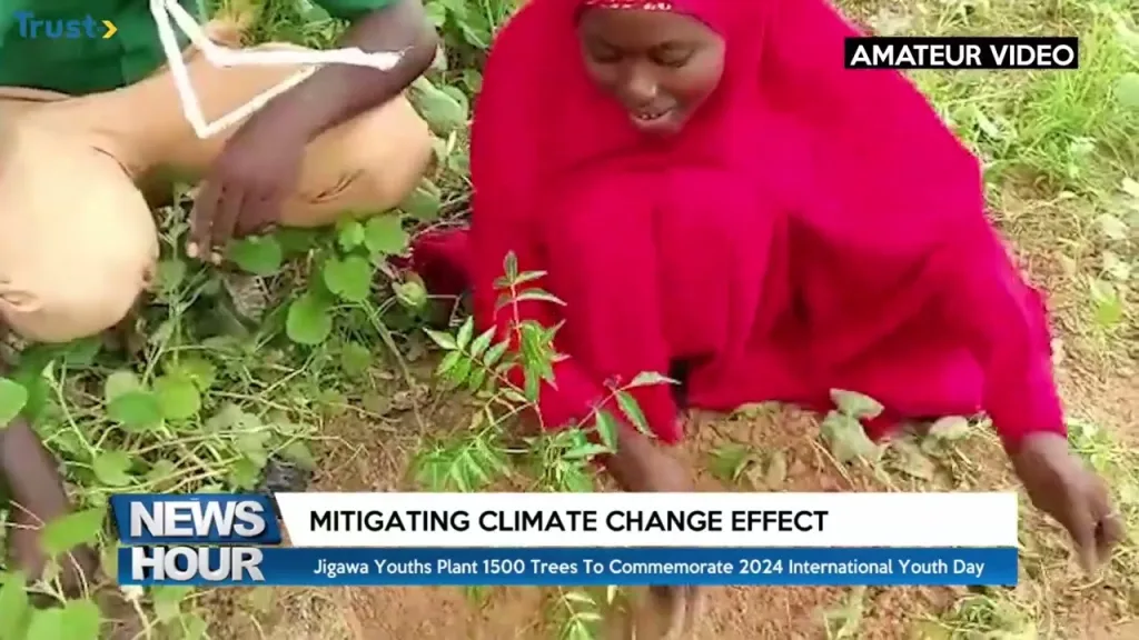 Mitigating Climate Change Effect: Jigawa youths plant 1500 trees to commemorate 2024 International Youth Day