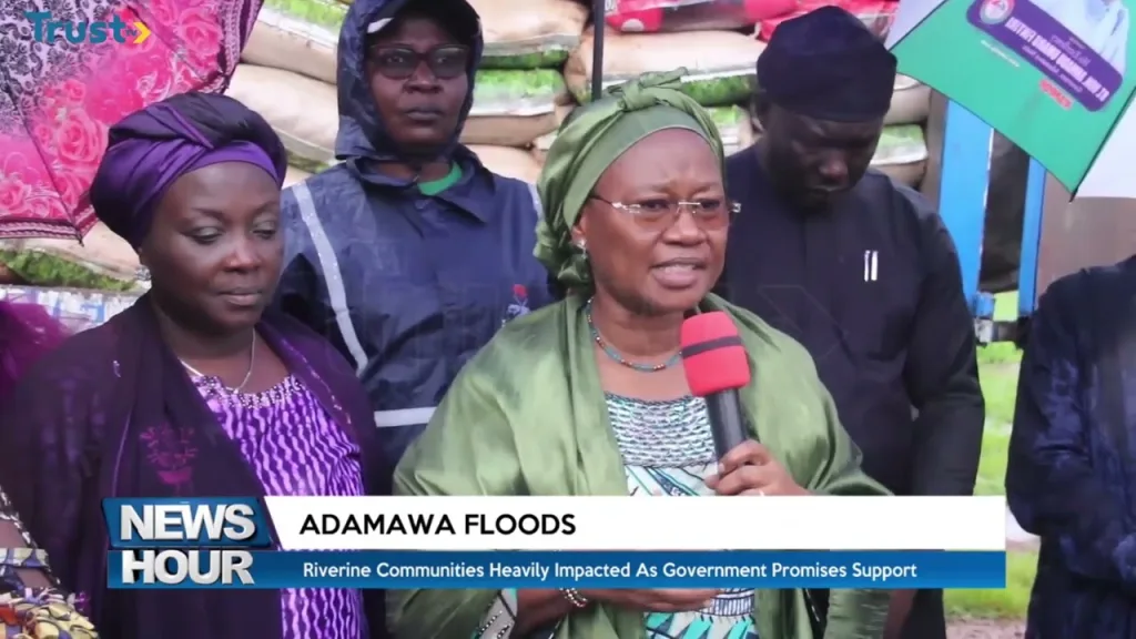 Adamawa Floods: Riverine communities heavily impacted as government promises support