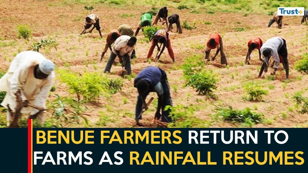 Rainy Season Farming: Benue farmers return to farms as rainfall resumes
