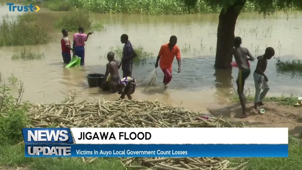 Jigawa Flood: Victims in Auyo local government count losses