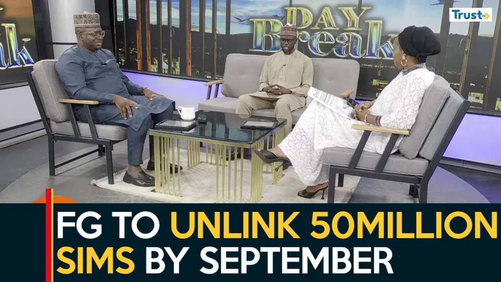 Newspaper Review: Fresh anxiety as FG disconnects 50m unlinked sims