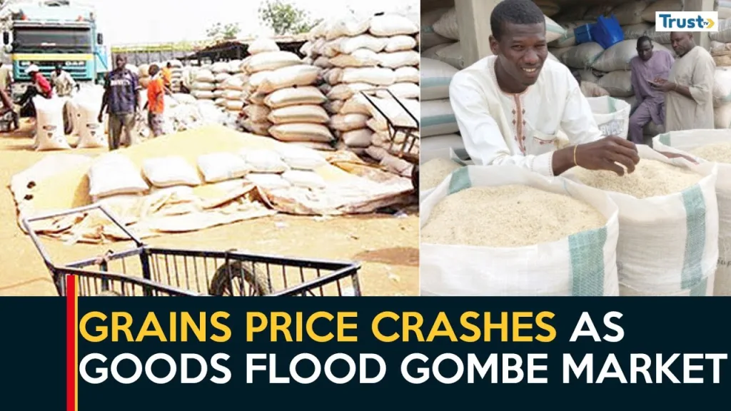 Grains price crashes as commodities flood Gombe market