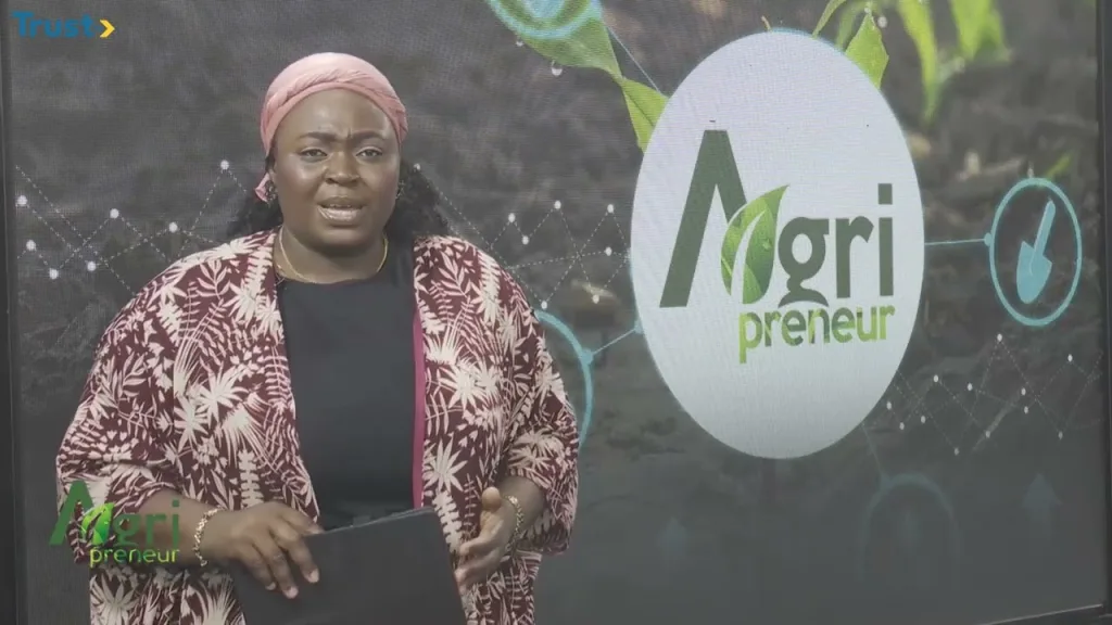 Palm oil production in the country