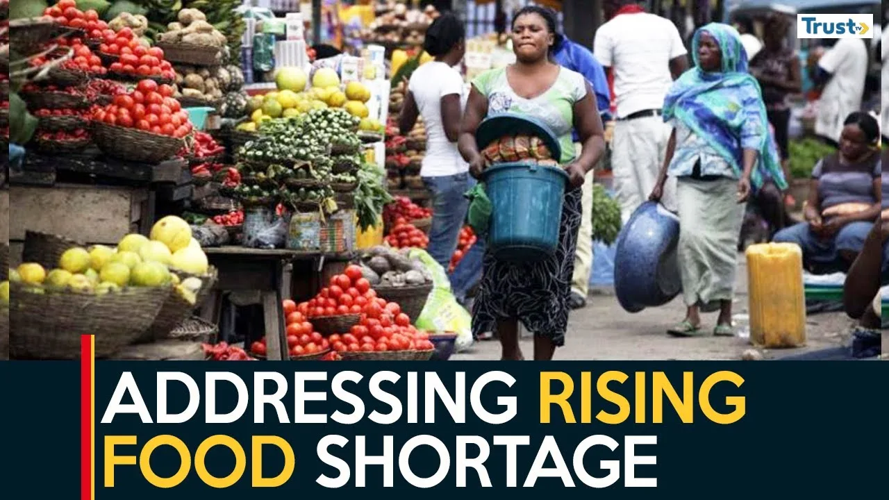 Addressing Rising Food Shortage: Benue residents urged to take advantage of farming