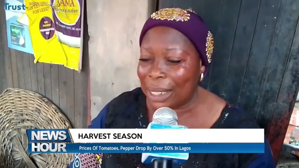 Harvest Season: Prices of tomatoes and peppers drop by over 50% in Lagos
