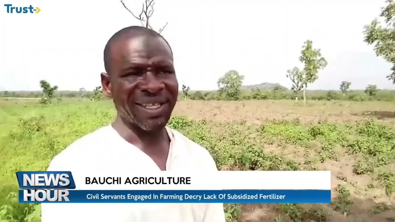 Bauchi Agriculture: Civil servants engaged in farming, decry the lack of subsidized fertilizer in Bauchi