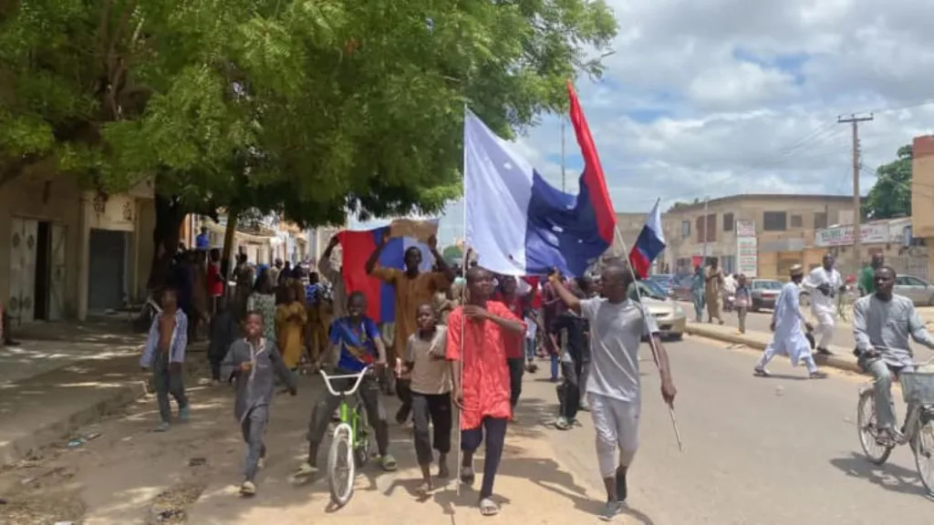 Protesters Carrying Russian Flags are Nigeriens – Professor Akinterinwa.