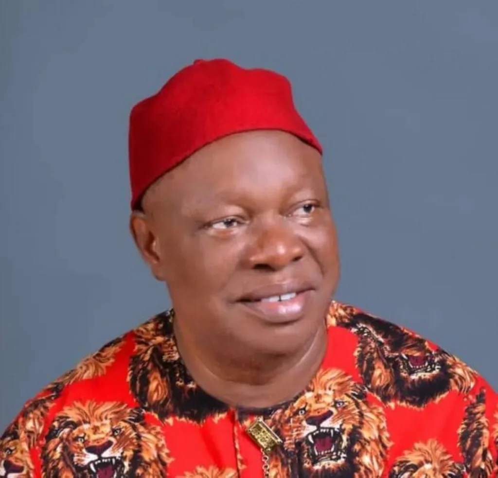 Be Patient, Tinubu’s Policies Will Yield Results Soon – Senator Okorie Ani.