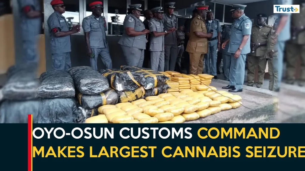 Oyo-Osun customs command makes largest cannabis seizure