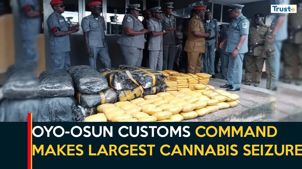 Oyo-Osun customs command makes largest cannabis seizure
