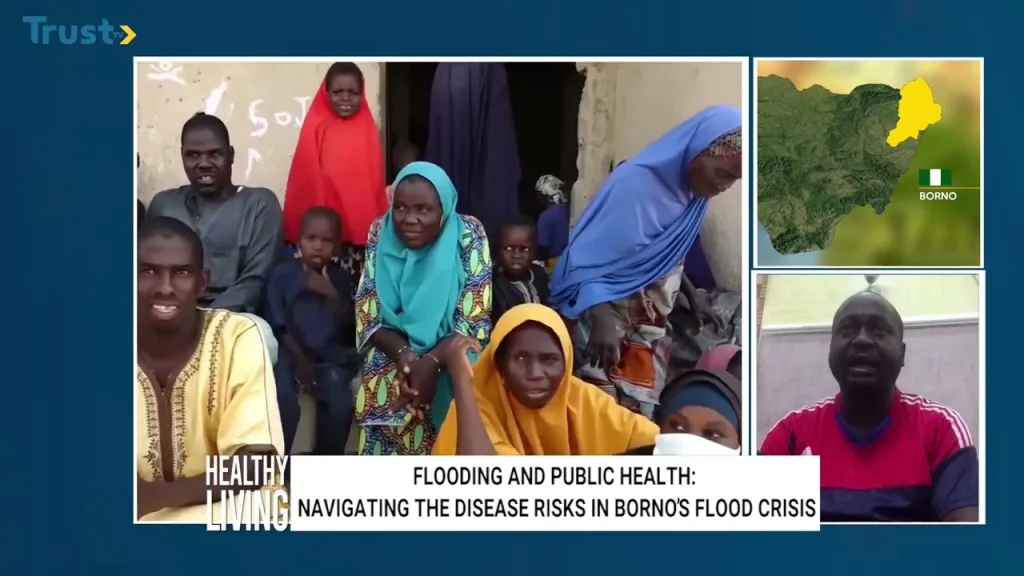 Flooding And Public Health: Navigating the disease risks in Borno’s flood crisis